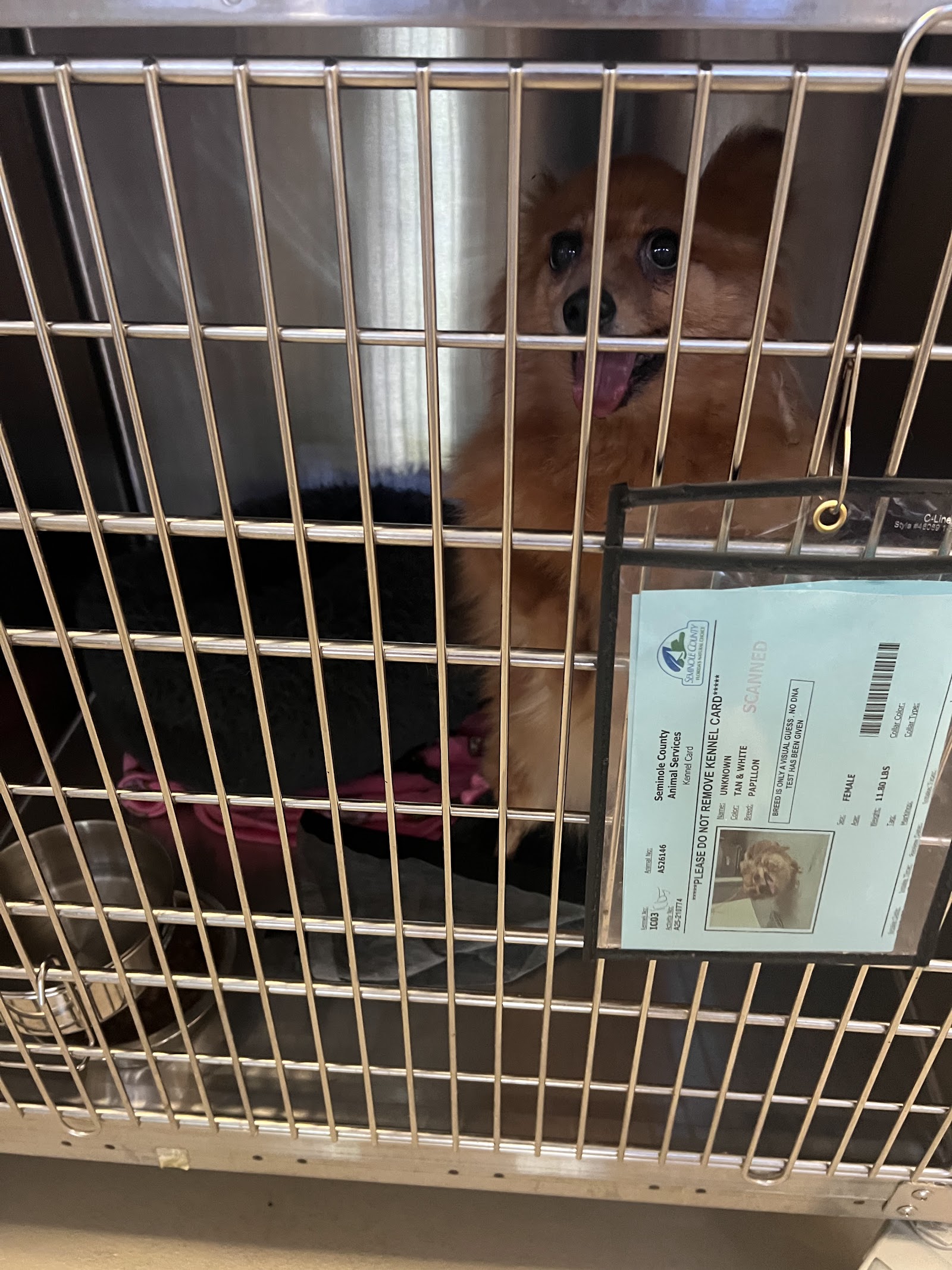 Seminole County Animal Services