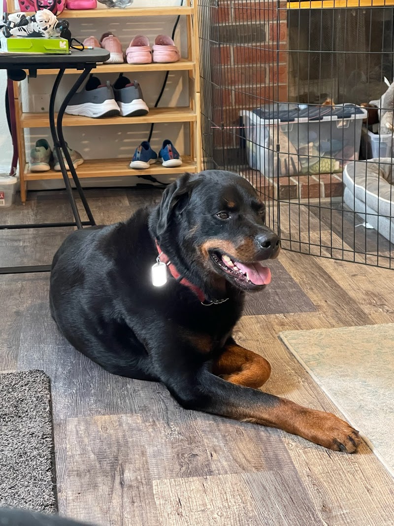 Seven Hills Veterinary Hospital photo 3