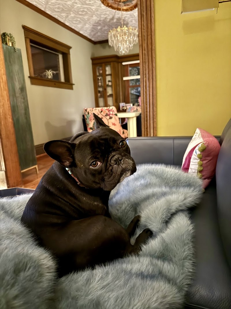 Sherlock Hound Denver photo 2