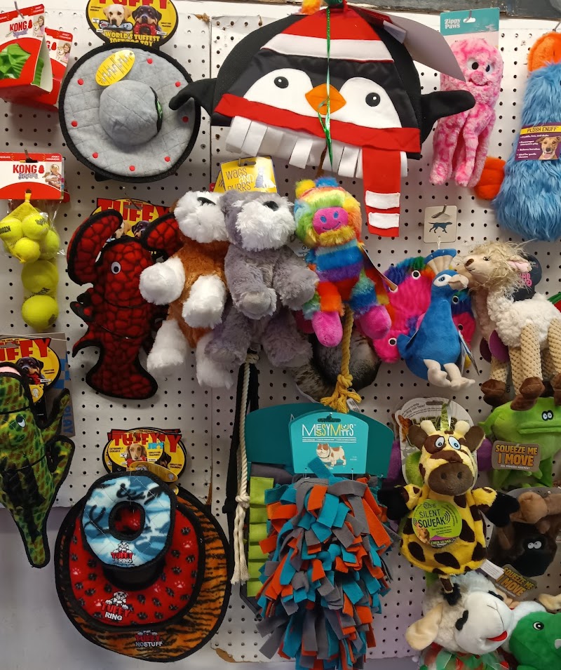 Sherlock Hound Denver photo 3