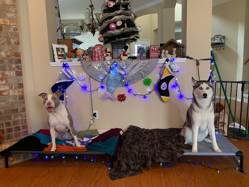 Signature K9 Training Academy photo 3