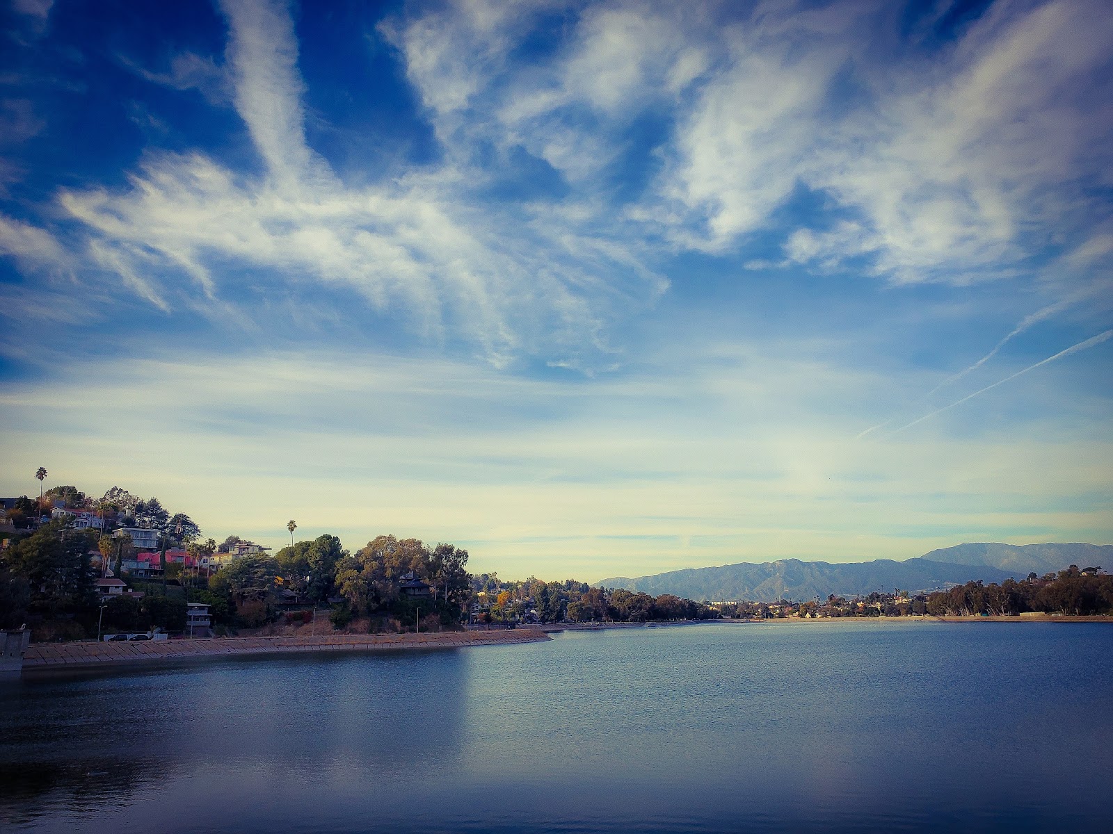 Silver Lake Dog Park