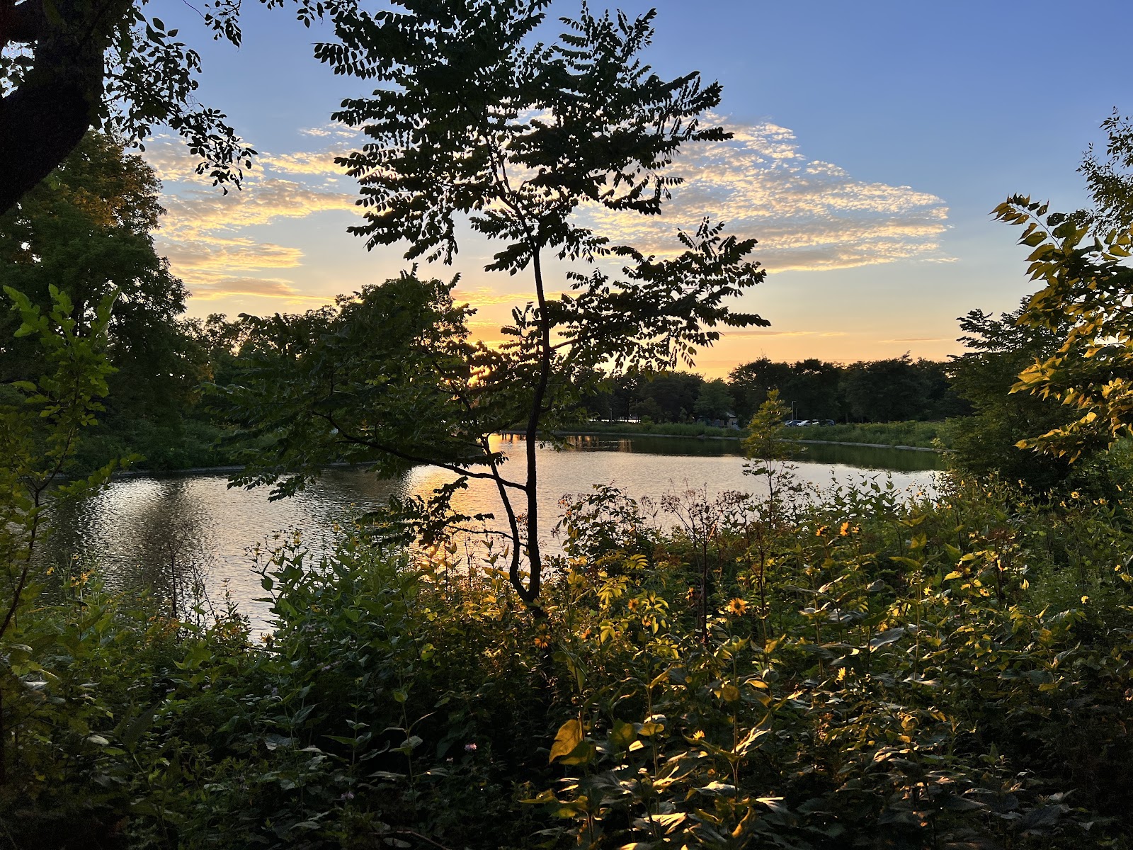 Silver Lake Park - East Shelter