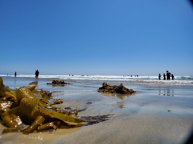 Silver Strand State Beach photo 3