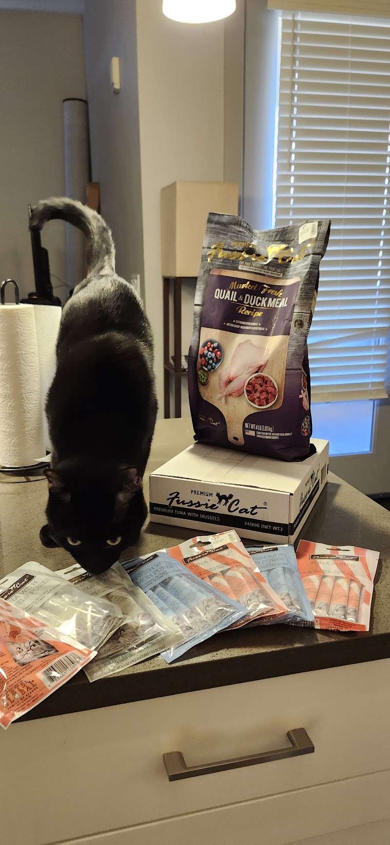 SIMPAWTICO - DENVER photo 3