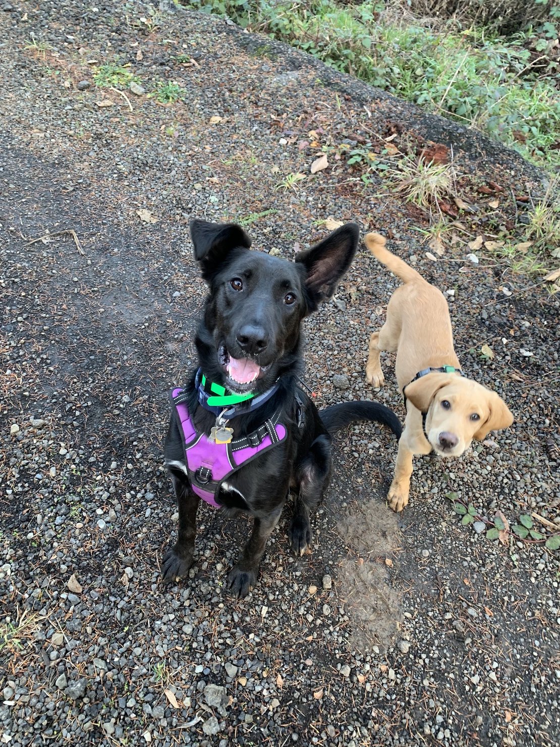 Sit Down & Beyond photo 3