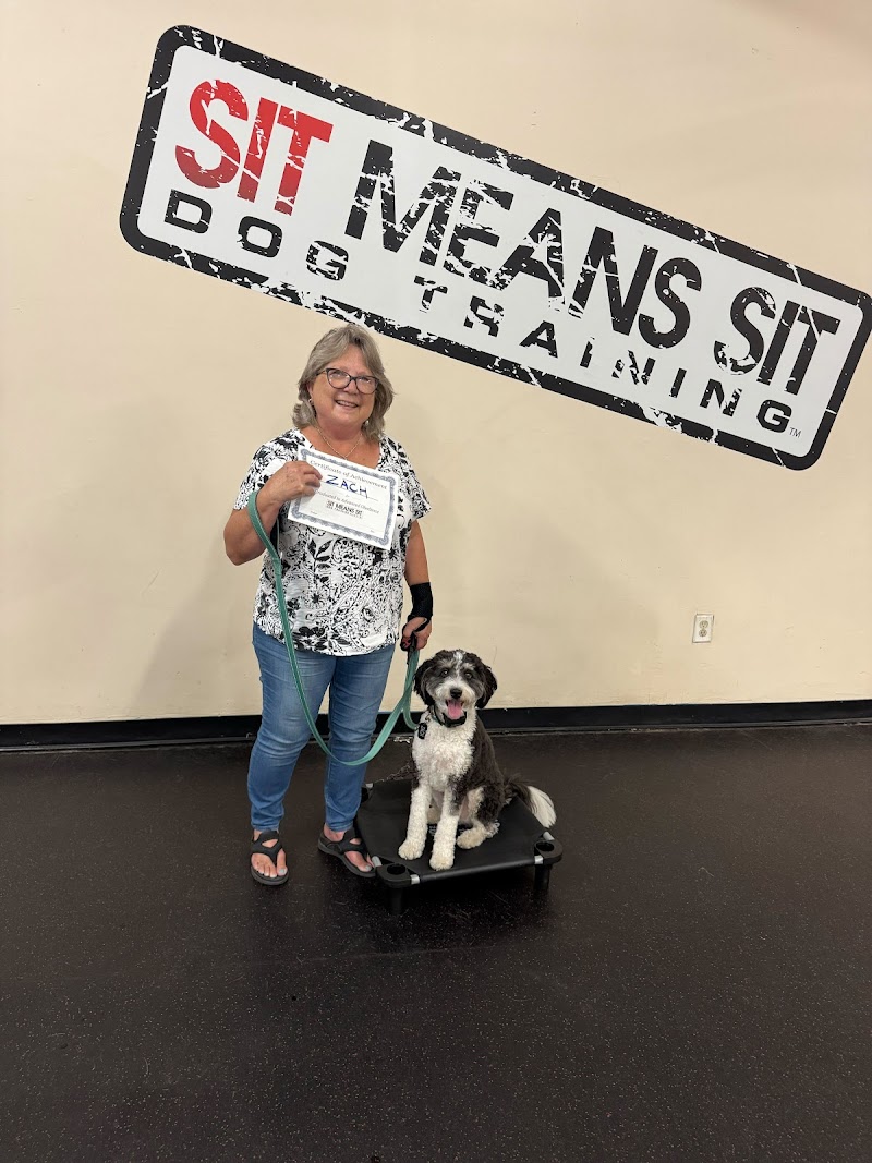 Sit Means Sit Dog Training - Austin photo 2