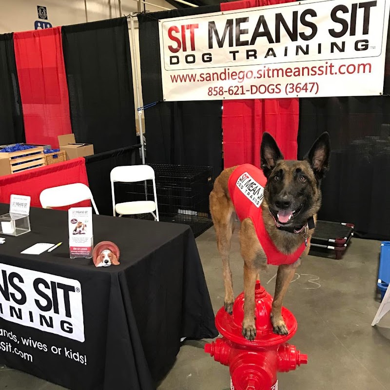 Sit Means Sit Dog Training San Diego photo 2