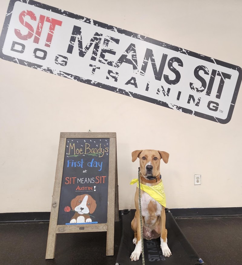 Sit Means Sit South Austin photo 2