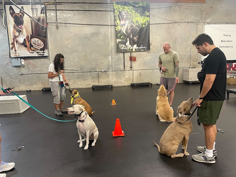 Sit Means Sit South Austin photo 3