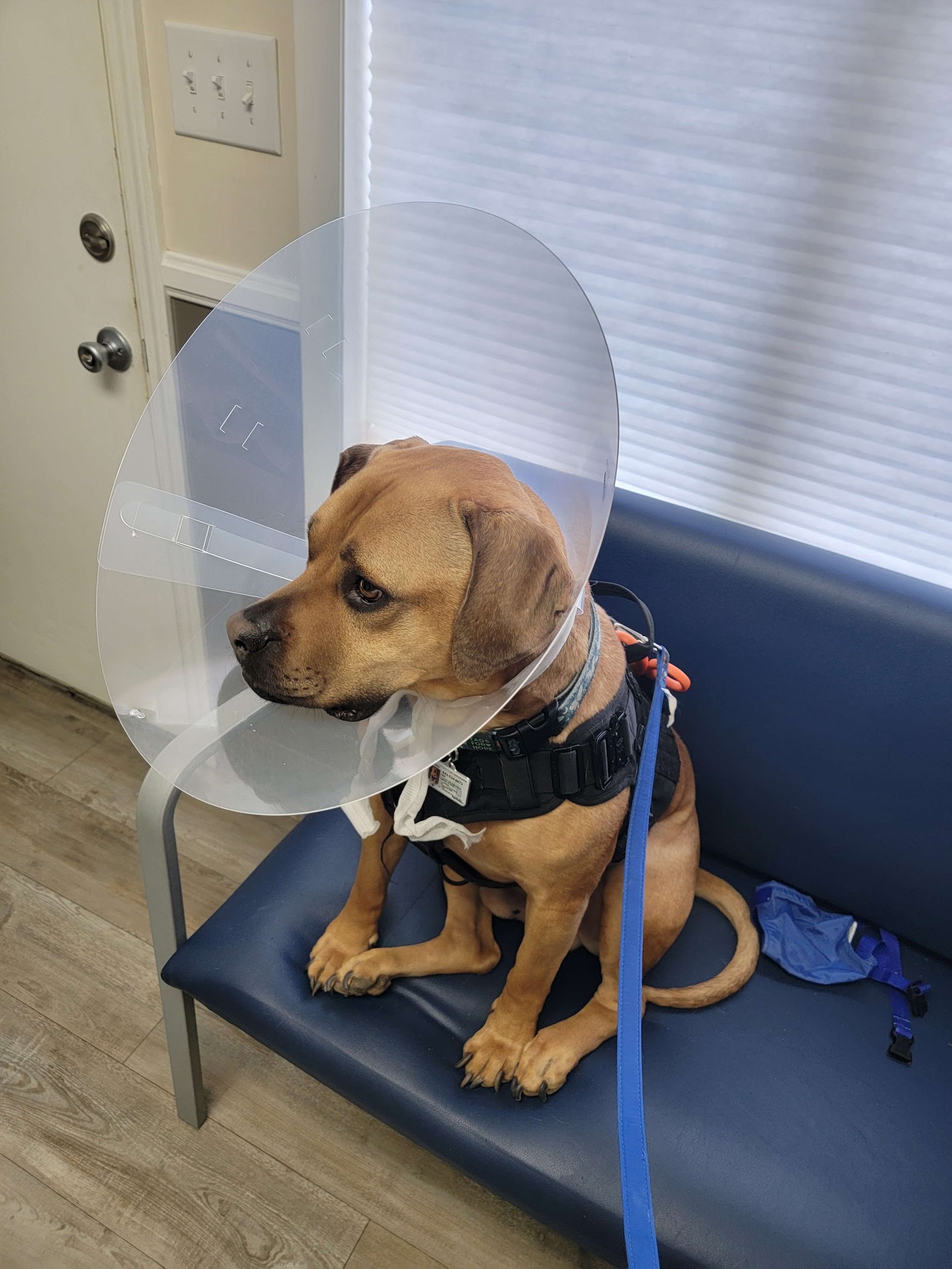 Skyland Animal Hospital
