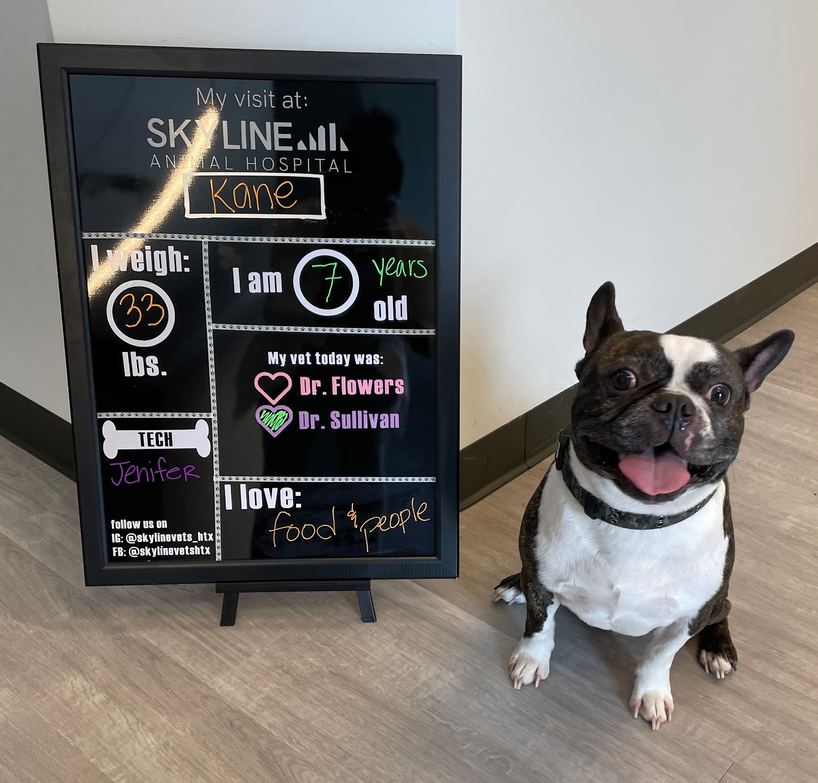 Skyline Animal Hospital