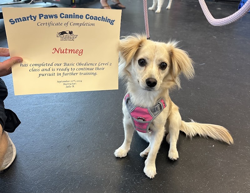 Smarty Paws Canine Coaching