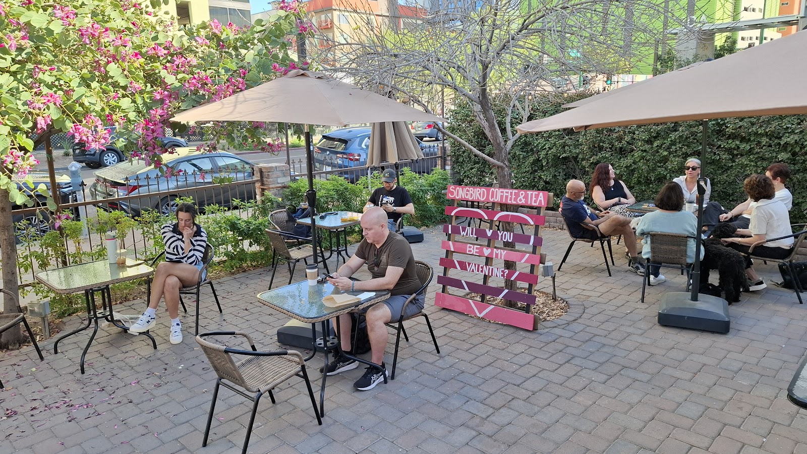 Songbird Coffee & Tea House - Phoenix, AZ