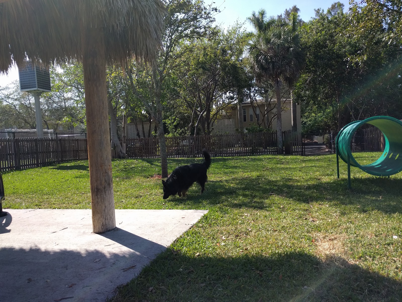South Miami Dog Park