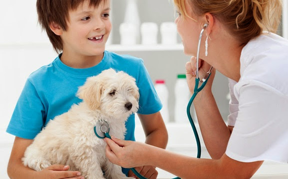 South Sacramento Pet Hospital