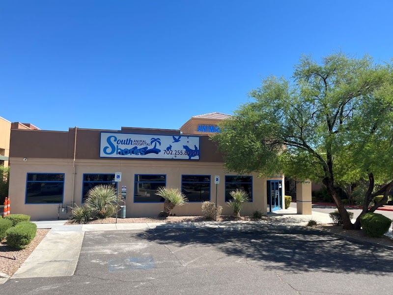 South Shores Animal Hospital photo 2