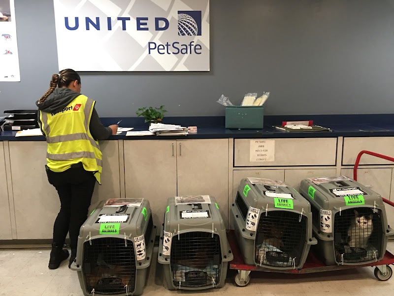 Southern California Pet Transport photo 2