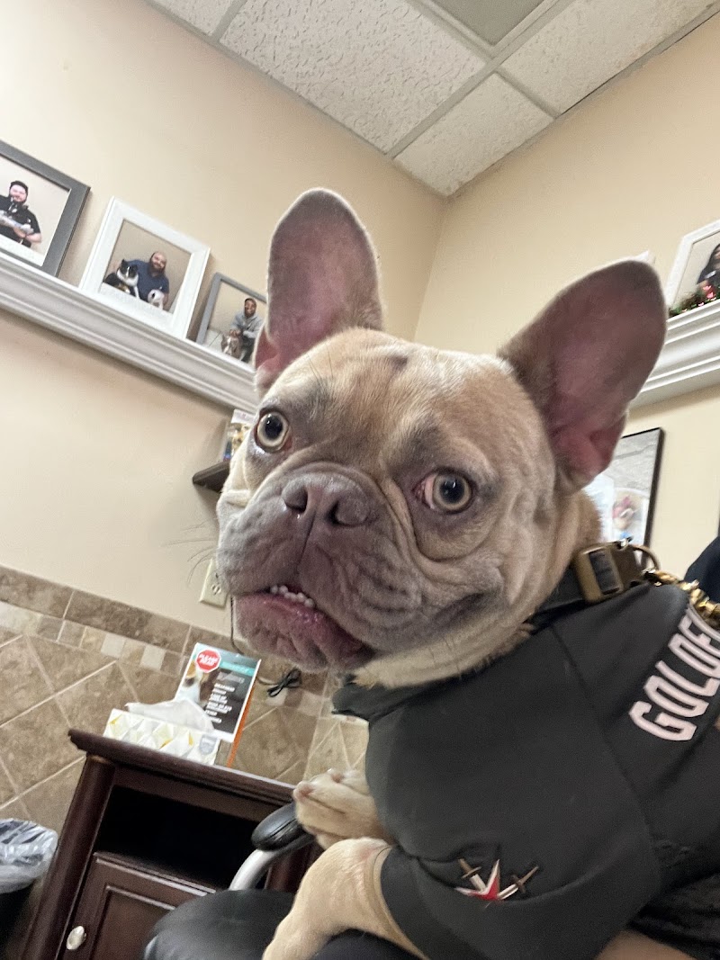 Southwest Animal Hospital photo 3