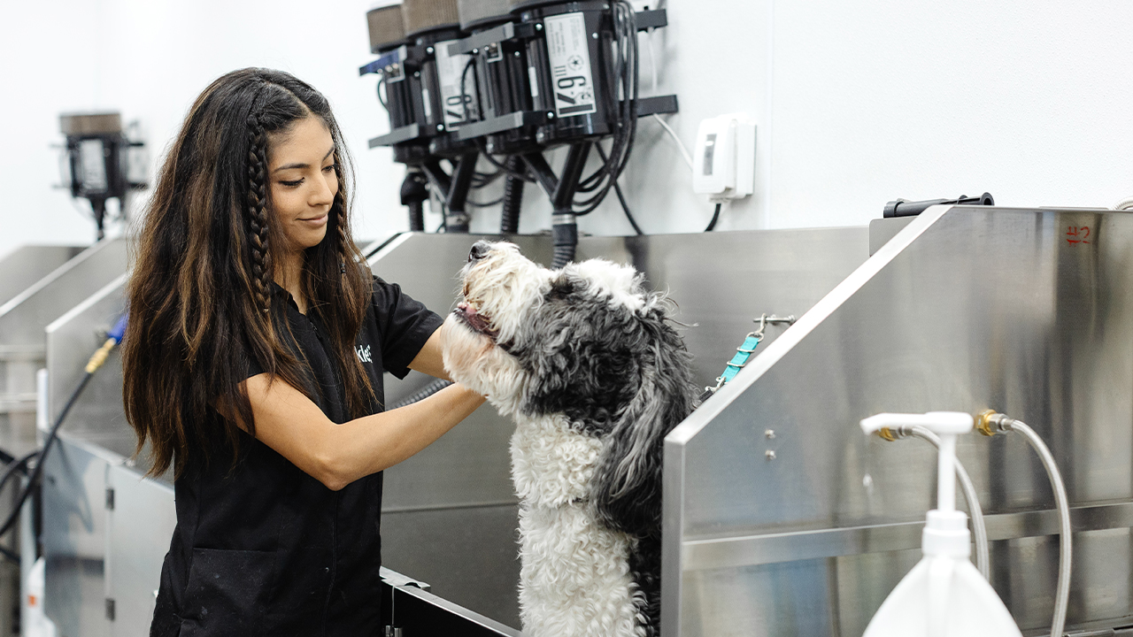 Sparkle Grooming Co.