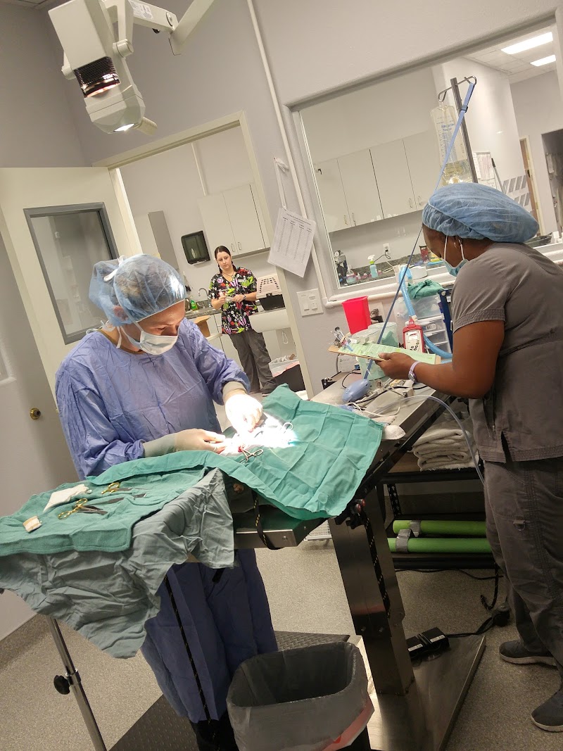 Spay & Neuter Center of Southern Nevada photo 2