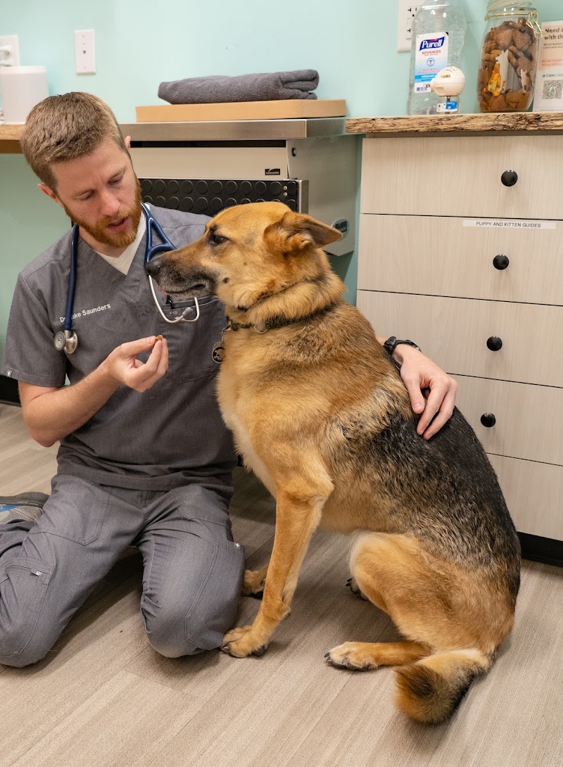 Sploot Veterinary Care - Highlands photo 2