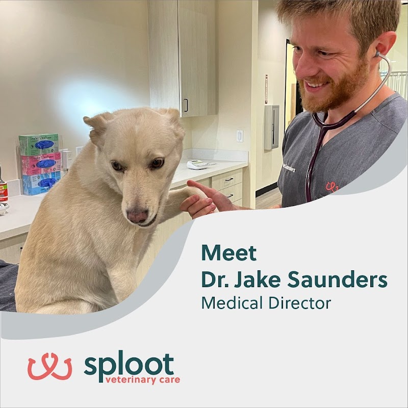 Sploot Veterinary Care - Highlands photo 3