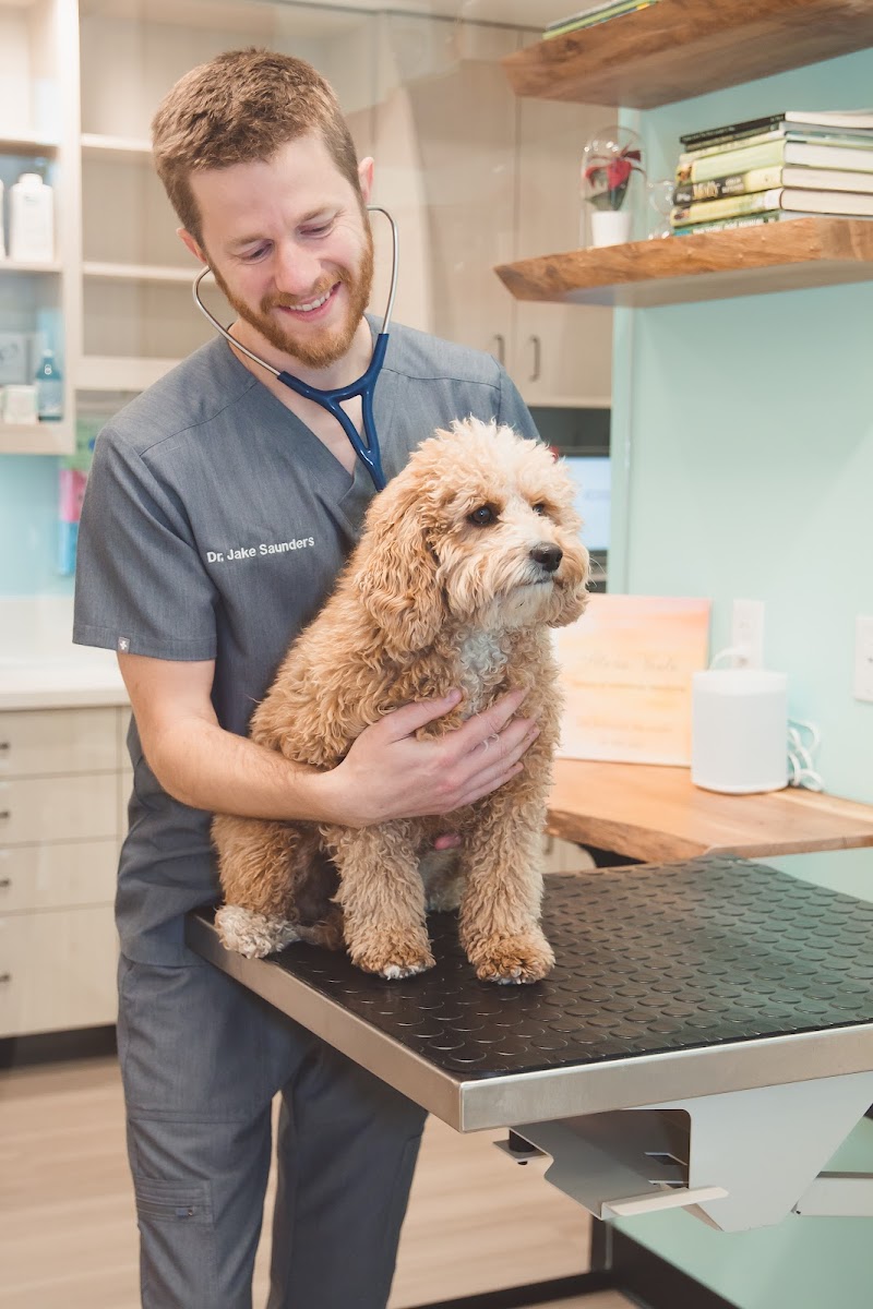 Sploot Veterinary Care - RiNo photo 3