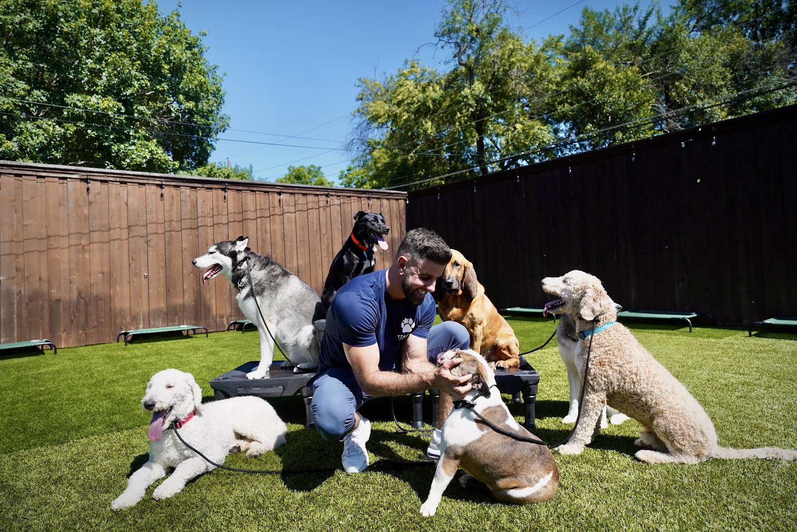 Starr Dog Behavior