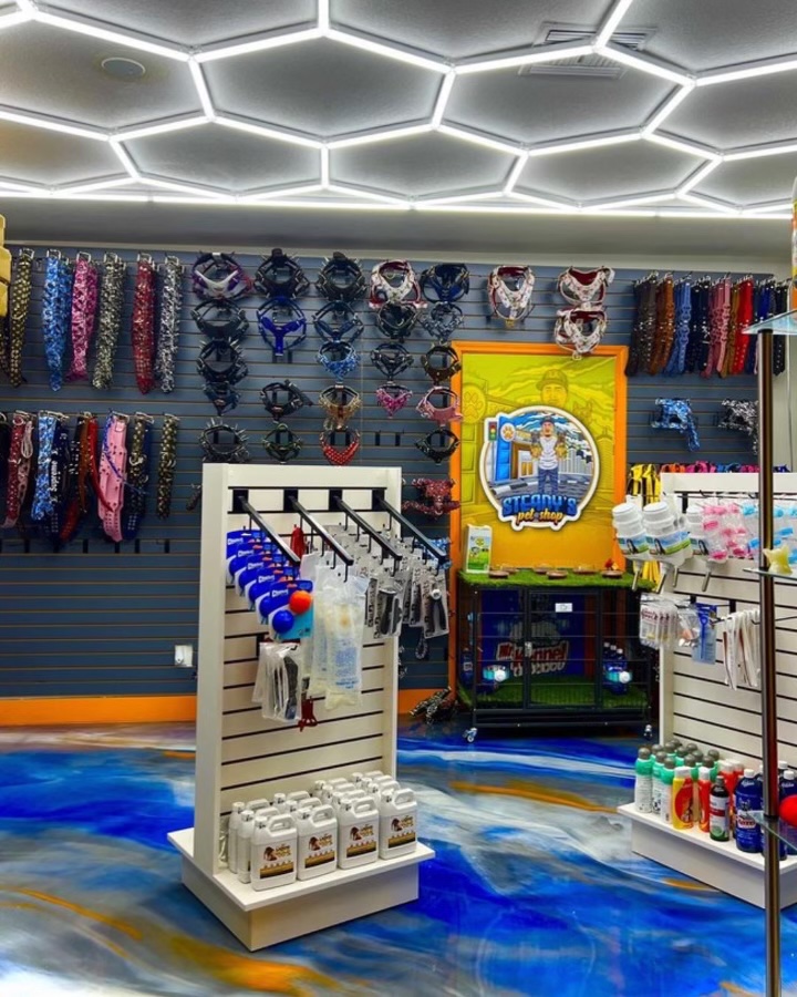 Steady’s Petshop