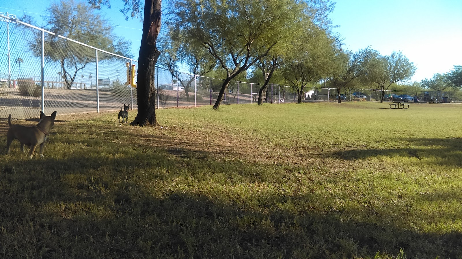 Steele Indian School Park Dog Park