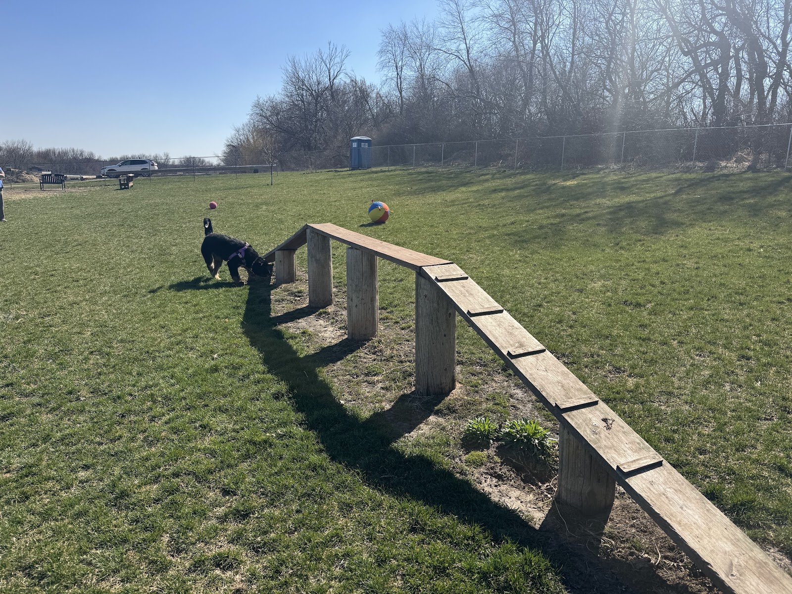 Stewartville Dog Park