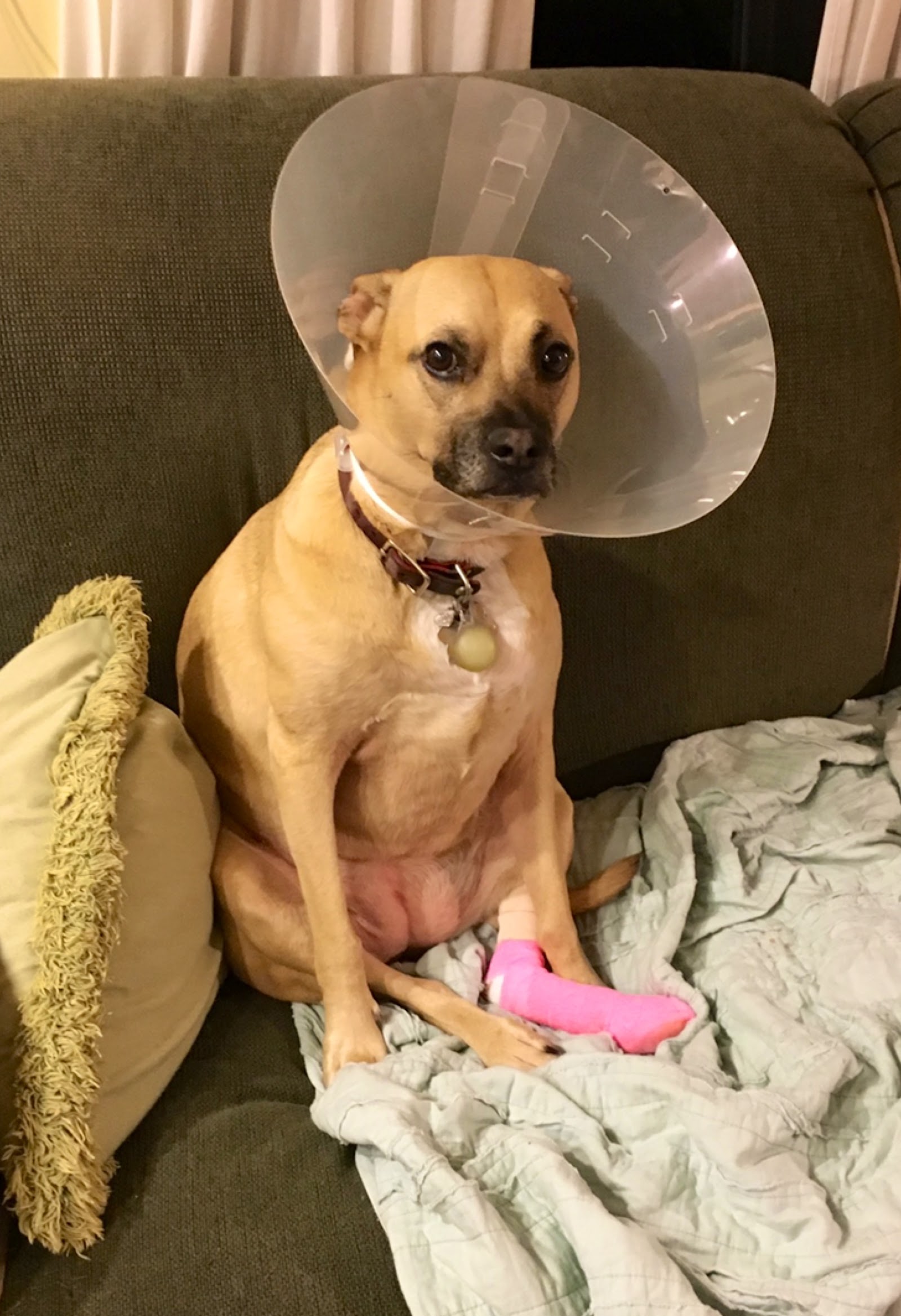 Stoneledge Animal Hospital