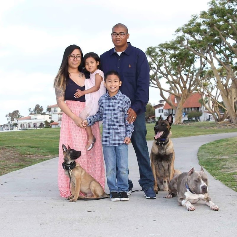 Strategic K9 Training LLC