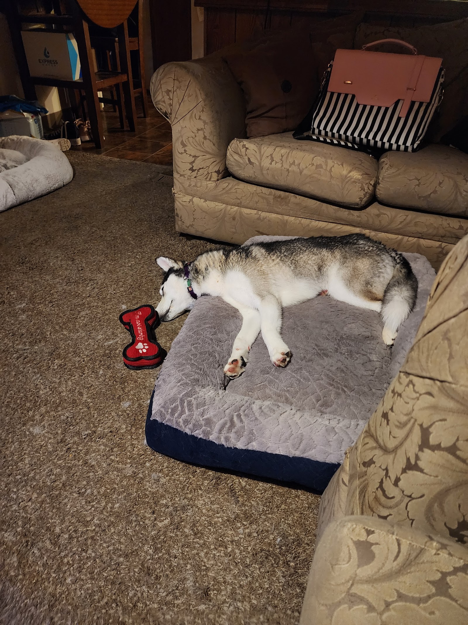Sun Valley Animal Shelter