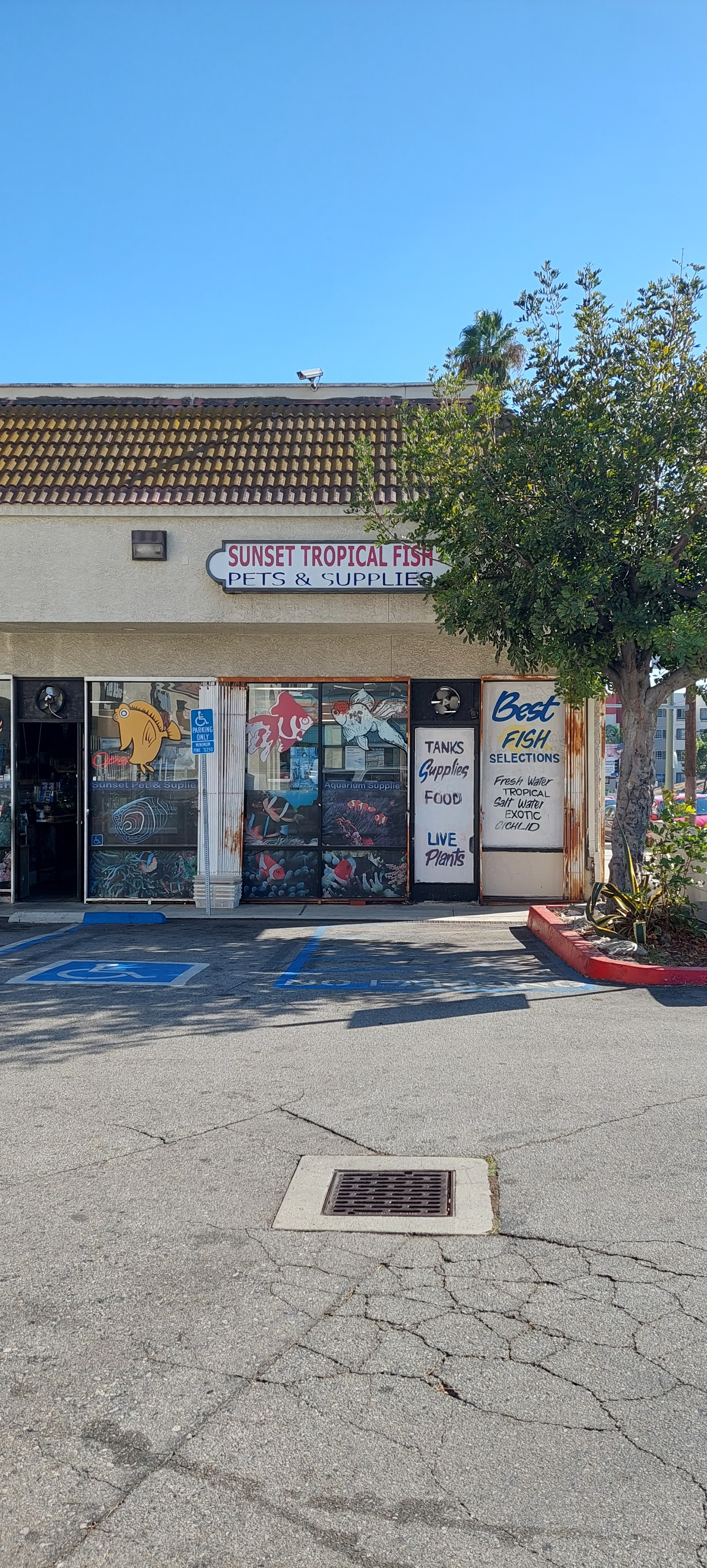 Sunset Pet & Supplies