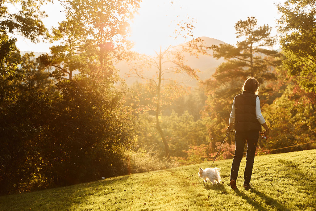 Sunvet Animal Wellness Clinic