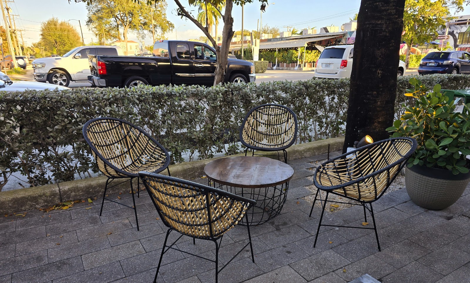 Surry Hills Coffee | Brunch Miami