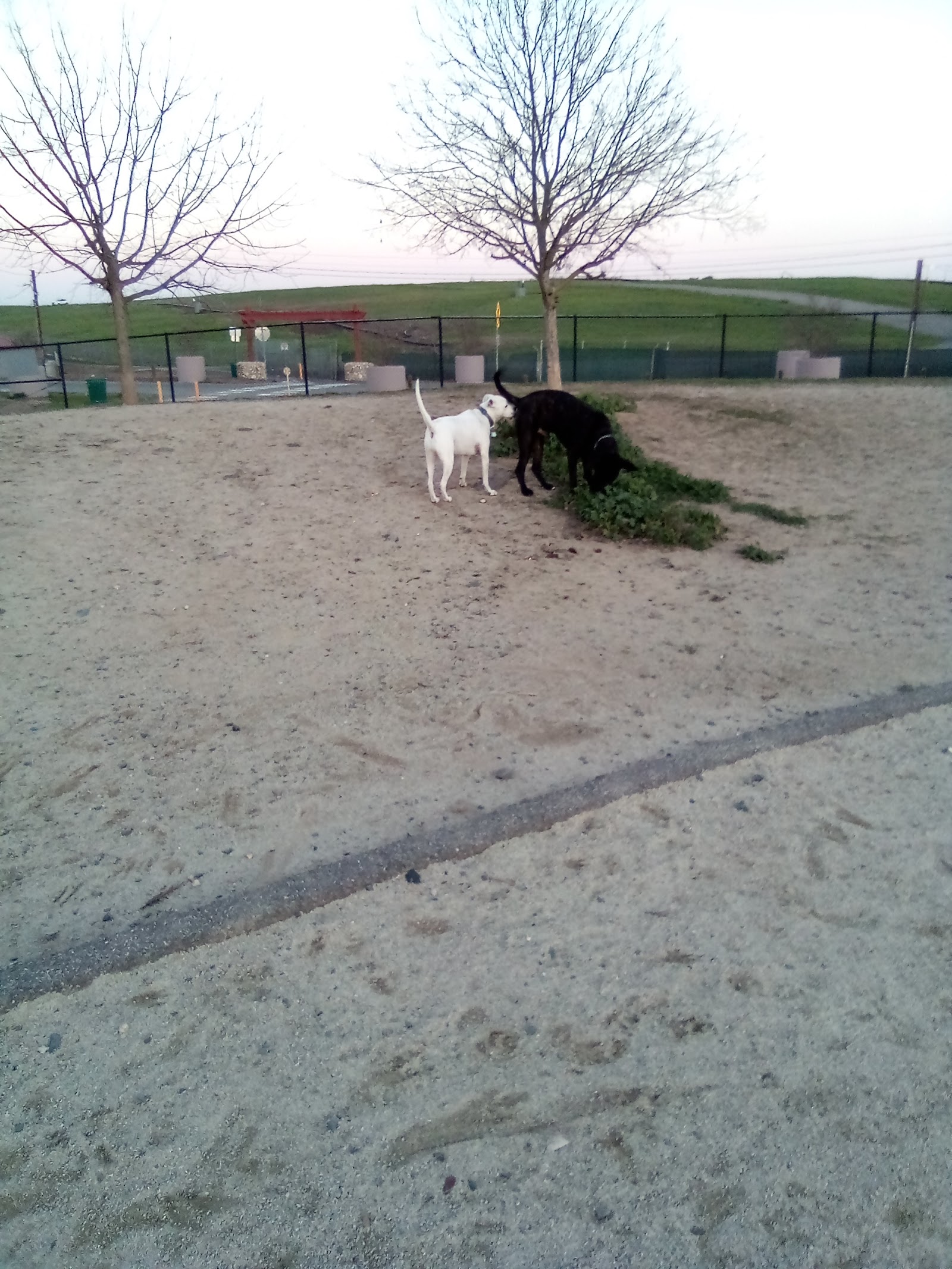 Sutter’s Landing Dog Park