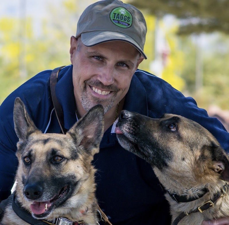 Taggs K9 Dog Training