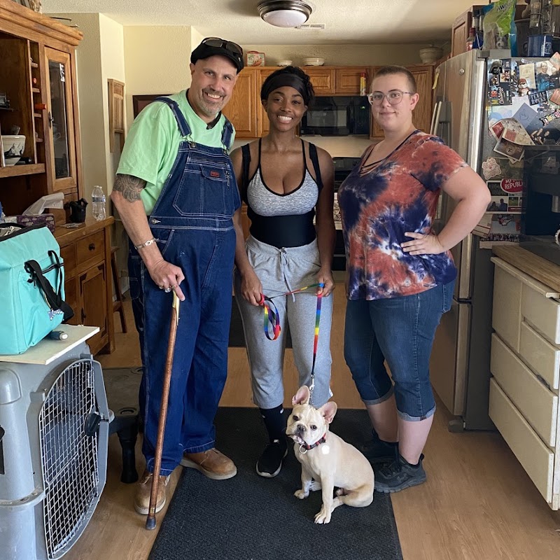 Taggs K9 Dog Training photo 3