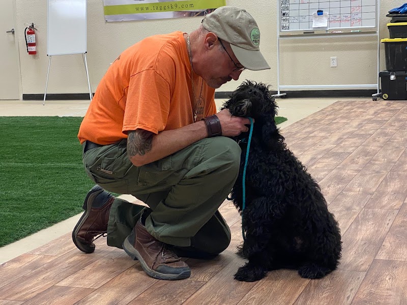 Taggs Town Family Dog Training Center photo 2