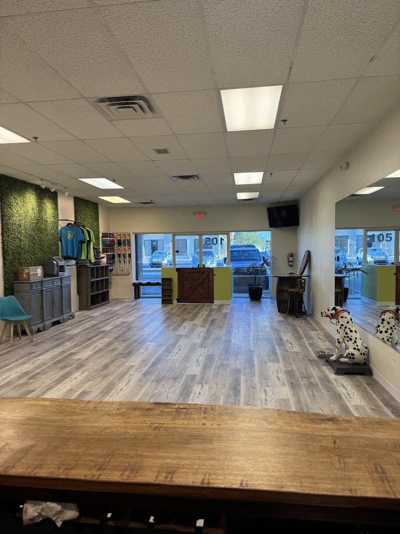 Taggs Town Family Dog Training Center photo 3