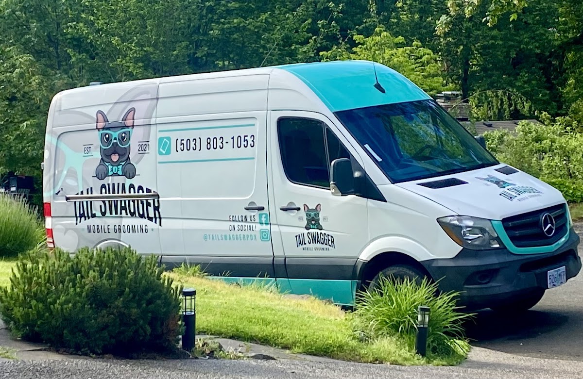 Tail Swagger photo 2