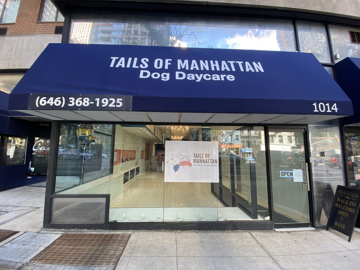 Tails of Manhattan photo 2