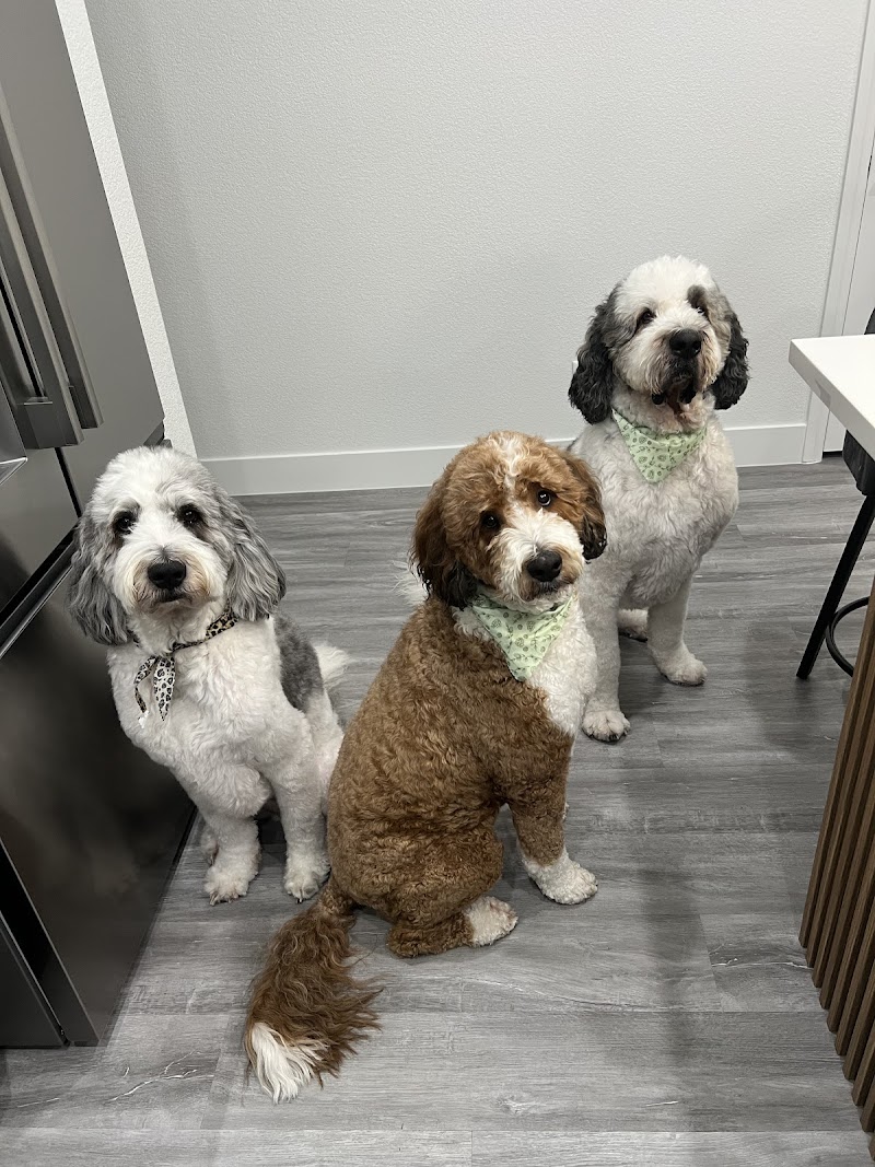 Tails Pet Resort photo 3