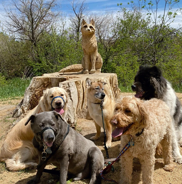 Tails Trails and Training