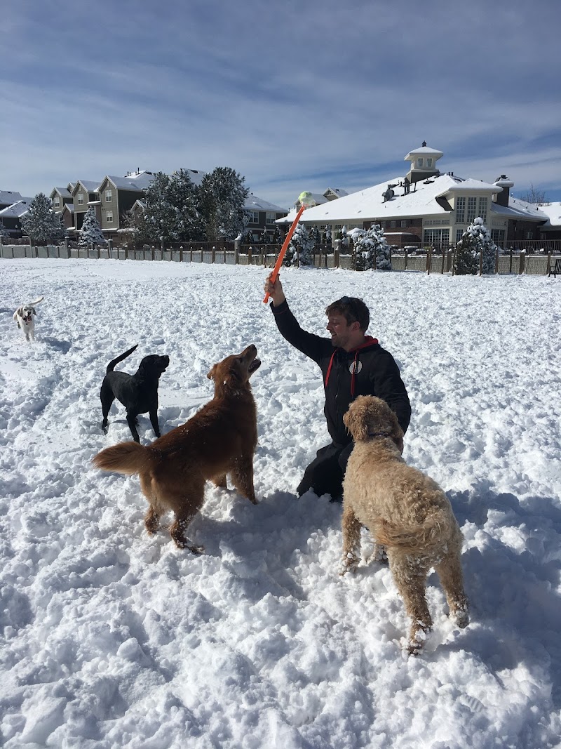 Tails Trails and Training photo 2