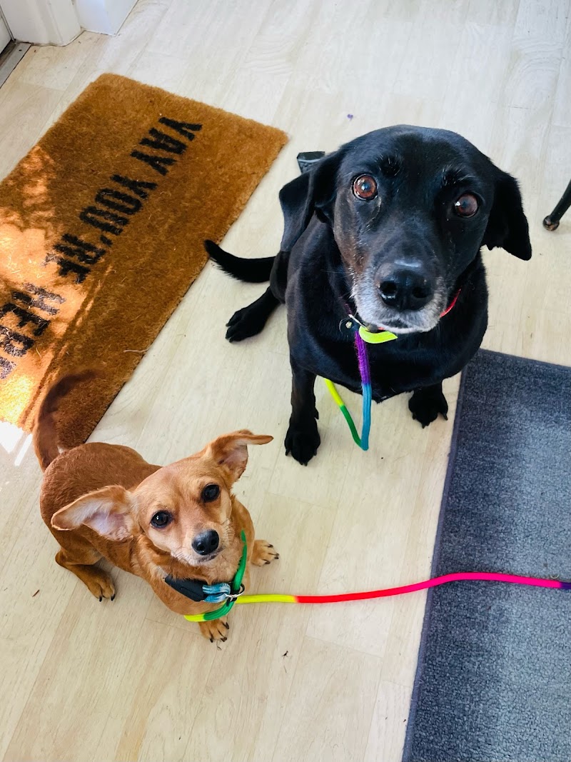 Tails Trails n Treats LLC photo 2