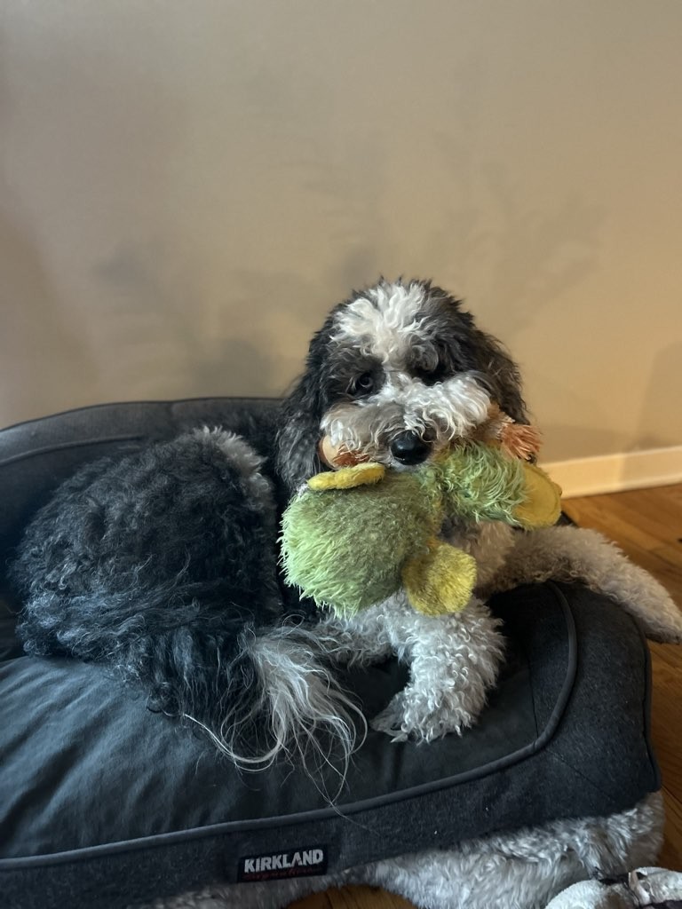 Tails Trails n Treats LLC photo 3